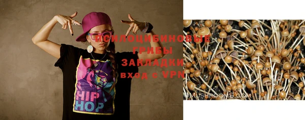 дурь Абинск