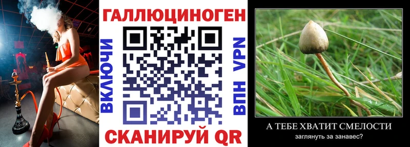 Псилоцибиновые грибы мицелий  Чайковский 